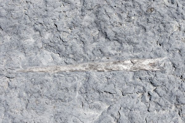 Comment choisir efficacement une plaque commémorative pour un décès?