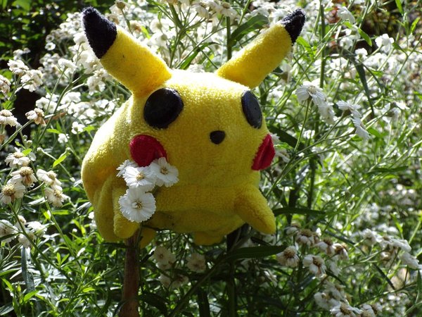 Où acheter votre costume Pokémon ?
