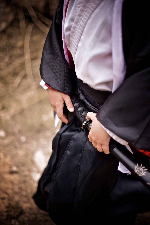 Quelle est l'importance des katanas dans de nombreux mangas d'action ?