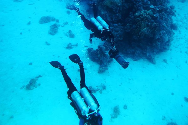 Découverte des profondeurs : les fondamentaux de la plongée sous-marine pour les débutants
