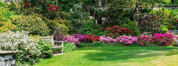 Comment créer une décoration de jardin agréable avec Déco-Jardin ?