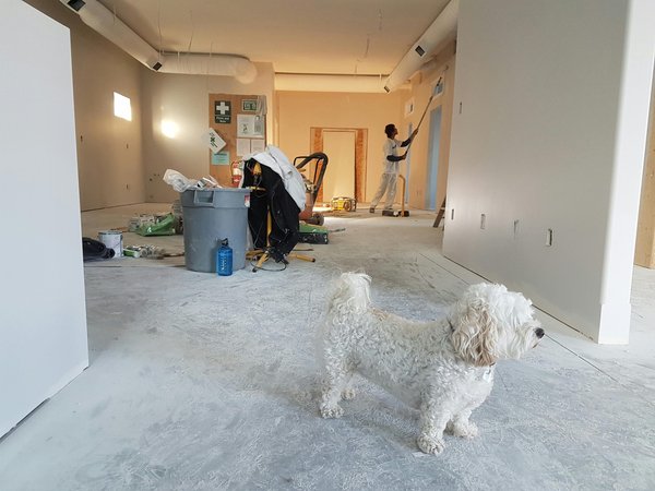 Rénovation d'ampleur : l'expertise au service de vos projets
