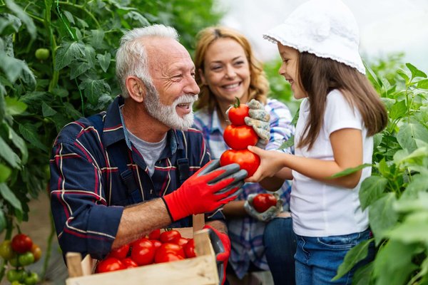 L'élevage biologique: ses secrets pour une agriculture durable, éthique et savoureuse