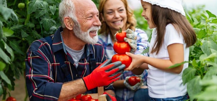 L’élevage biologique: ses secrets pour une agriculture durable, éthique et savoureuse